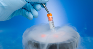 Congelamento de embriões