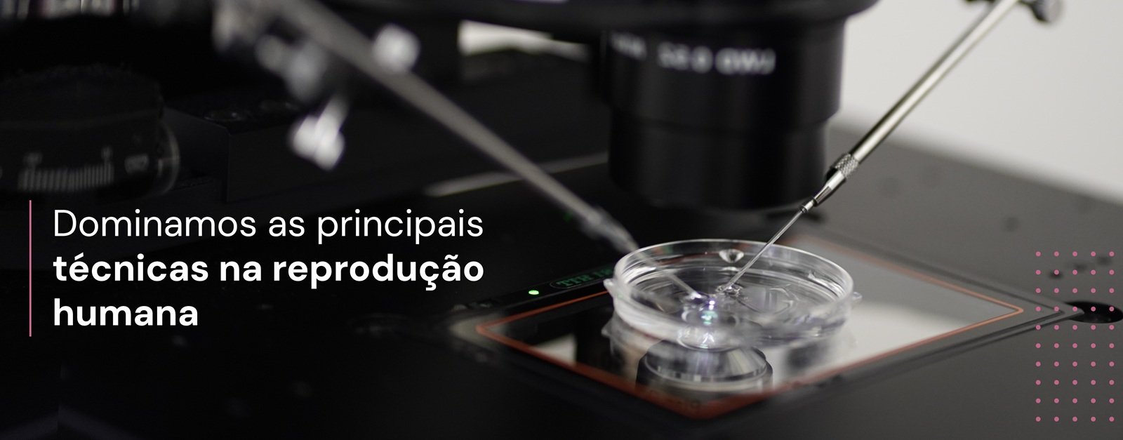 Dominamos as principais técnicas na reprodução humana.